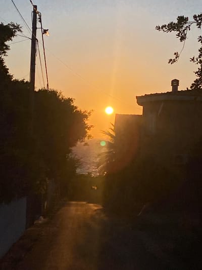 The image captures a low-angle view of a street in Kunje, Montenegro, during sunset or sunrise. The sun is visible as a bright orb, partially obscured by trees and buildings. A building with a distinct roofline is visible to the left of the sun. A utility pole with a light fixture and several wires spans the lower-left corner. Trees with dense foliage occupy the lower portion and middle ground of the frame. The street appears wet and reflective. The overall lighting suggests either dawn or dusk. No people are visible in the scene.