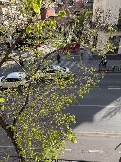 An aerial view of a street in Tirana, Albania shows two parked white cars. Pedestrians walk on the sidewalk along a building with red chairs. A tree with new green leaves fills the foreground. A gray road with yellow lines runs between the sidewalk and a building with a balcony and a wrought iron railing. Two people stand on the balcony.