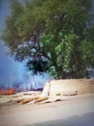 The image shows a large tree in the foreground with foliage and a thick trunk, blocking a view of the area behind it. In the background, there are multiple large logs lying on the ground, a dirt area and a fence. There appears to be smoke rising behind the fence. The coordinates provided, 11.819 latitude and 13.157 longitude, place the image in the city of Maiduguri, Borno State, Nigeria. The environment is dry and dusty. The time of day is unclear, but it may be the morning or afternoon based on the light.