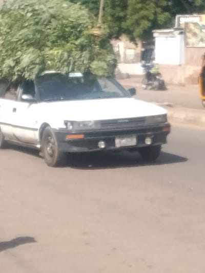 A white Toyota Corolla, laden with a large amount of green foliage strapped to its roof, is traveling on a paved road in Arawa, Nigeria. The car is positioned in the foreground, facing towards the left of the frame. The foliage is dense and obscures the top of the car. In the middle ground, a person on a motorcycle, wearing a yellow vest, is visible on the right side of the road. Further in the background, trees and buildings are present, with a sign visible on a building on the right. The overall scene depicts a street in a city, with a focus on the car transporting a substantial load of vegetation.