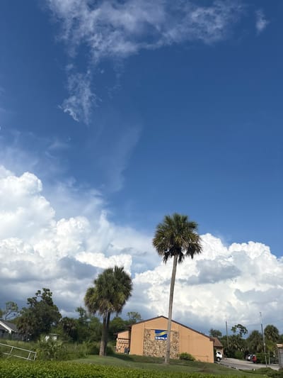 The image captures a sunny day in North Port, Florida, United States of America, with a bright blue sky dotted with fluffy white clouds. In the foreground, lush green grass covers the lower part of the frame. A tall palm tree stands prominently on the right, its fronds spread wide against the sky. To its left, a shorter palm tree offers a contrasting silhouette.
Behind the trees, a tan-colored building with a stone-accented facade is visible. A blue sign with the word "SUMA" in white lettering is mounted on the building's exterior. To the right of the building, a road is present, with several vehicles parked along its side, including a white van and a red car. Various other trees and vegetation are scattered throughout the background, contributing to the tropical feel of the scene. The overall impression is one of a clear, pleasant day in a semi-tropical environment.