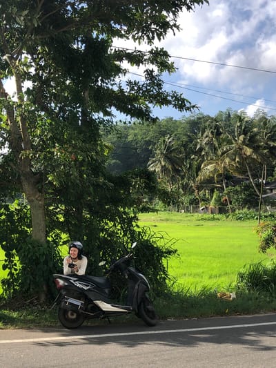 In Walahanduwa, Sri Lanka, a woman wearing a white long-sleeved shirt and a black helmet is seated on a black scooter parked on the side of a road. She is holding a camera in her hands and appears to be smiling. Behind her, a lush green rice paddy field stretches out, bordered by various trees, including palm trees, and a line of hills in the distance under a cloudy sky. A small, light-colored animal is lying in the grass near the edge of the rice field. The road in the foreground is paved and has a white line marking its edge.