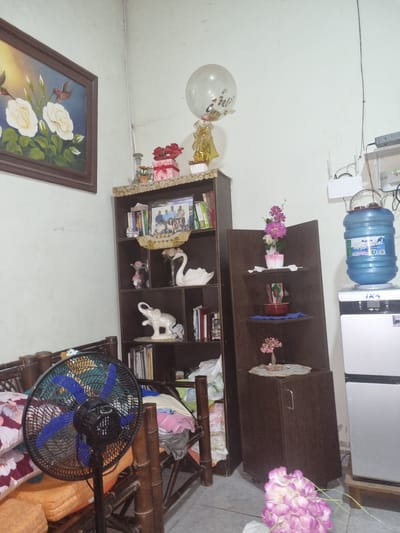 The image presents an interior scene, featuring a water dispenser atop a dark wooden cabinet and shelves against a white wall. The shelves are decorated with items including flowers, a swan figurine, books, and an elephant figurine. A balloon and a gift-wrapped package are also placed on the top of the shelves. A floral painting hangs on the wall in the lower-left corner of the image. A black fan stands to the right. The environment indicates a residential setting. The city of Santa Cruz de la Sierra, Bolivia, cannot be confirmed as the location based on this single image alone. No people are visible in the photograph.