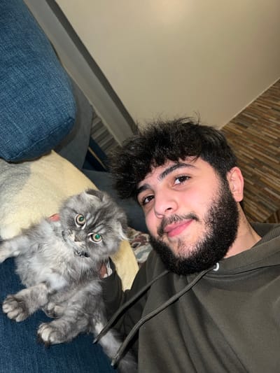 An indoor, selfie-style photograph captures a young adult male holding a grey tabby kitten. The male, positioned on the right side of the frame, has dark curly hair, a dark beard, and a slight smile, looking directly at the camera. He wears an olive-green hooded sweatshirt. The kitten, held in the male's left arm, features grey tabby fur, folded ears, and prominent green eyes. Its eyes are wide, and its mouth is slightly ajar, as it also looks towards the camera. The subjects are situated against a background that includes a blue upholstered sofa on the left and a lighter-colored cushion. The wall behind them is light-toned, with a section of textured brown and beige stone veneer visible on the right. The scene is illuminated by ambient indoor lighting within a private residence in Sarouja Municipality, Syria.