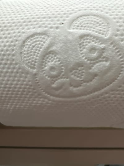 The image is a close-up, slightly angled shot of a roll of white toilet paper. Embossed on the toilet paper is a pattern of what appears to be a cartoonish panda face. The panda's face features large, circular eyes and a rounded nose, all formed by the textured dots characteristic of embossed toilet paper. The lighting creates subtle shadows that highlight the raised pattern. The lower portion of the image shows a blurred horizontal surface, possibly a shelf or table. There are no people or any indications of the city of Novi Iskar, Bulgaria, present in the image.