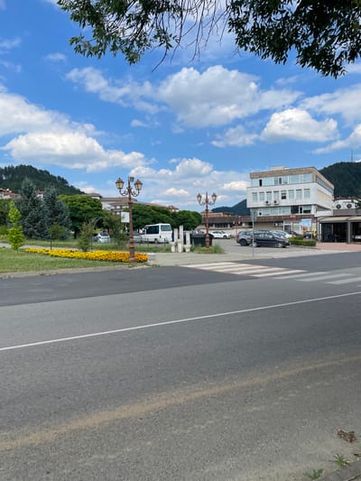 This is a photograph of a street scene in Zlatograd, Bulgaria. The image is oriented vertically, with the road taking up the right half of the frame and buildings and greenery on the left. The sky is a vibrant blue with scattered white clouds, suggesting a clear and sunny day. The time of day appears to be daytime, likely mid-morning or afternoon given the brightness of the light and the shadows.
The foreground is dominated by an asphalt road with white lane markings and a pedestrian crossing. On the left side of the road, a sidewalk runs alongside a row of buildings. The building closest to the road is a multi-story structure with a modern facade, featuring numerous windows and air conditioning units. Behind it, there are other buildings, some appearing older with exposed brickwork.
A variety of objects are visible. Several cars are parked along the sidewalk, including a dark-colored SUV, a white car, and a white van. Decorative elements include ornate street lamps with multiple bulbs and a planter box filled with bright yellow flowers, adding a splash of color to the scene. Lush green trees and shrubs are also present, with a dense hillside covered in trees rising behind the buildings. In the upper left corner, a portion of a tree with dark green leaves is visible, framing the sky.
No people are clearly visible in the image. The scene depicts a typical street in a town or city, with commercial buildings and infrastructure. The presence of yellow flowers and the well-maintained appearance of the street and buildings suggest a pleasant urban environment. There is some text visible on a sign attached to a building, but it is too small and blurry to be read.
