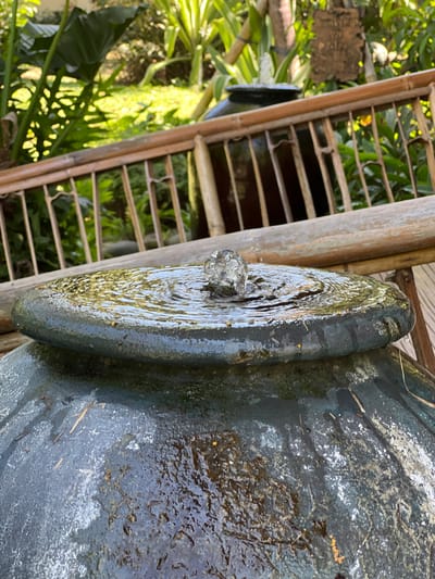 The image shows a close-up of a water feature in a lush green outdoor setting, possibly a garden or courtyard. A dark, weathered pot, likely ceramic, is the focal point, with water bubbling up from its surface, creating ripples. The pot appears to be part of a larger fountain. In the background, a bamboo railing separates the foreground from a densely vegetated area with large green leaves and sunlight filtering through. The overall impression is one of tranquility and natural beauty. There are no people or animals visible in the image. The scene does not provide any specific visual cues to identify its location within Denpasar, Indonesia.