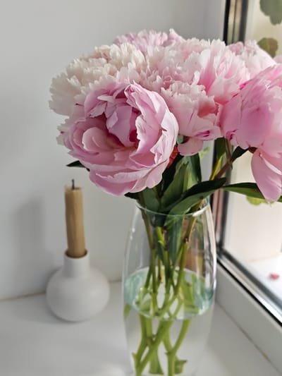 A vibrant bouquet of pink and white peonies dominates the central and right portions of the image. The large, full blossoms display ruffled petals ranging from soft white on the upper flowers to various shades of light and deeper pinks. Green stems and leaves are visible through the clear glass vase, which holds water with a slight greenish tint.
The vase is placed on a clean white window sill, bathed in natural daylight. To the left, slightly out of focus, stands a tall, light brown candle in a minimalist white ceramic holder with a rounded base. A dark window frame is partially visible on the far right, suggesting an indoor setting beside a window. The background consists of a plain, light-colored wall.
The scene captures a serene still life arrangement, likely in a home environment. There are no people present, and no specific activity is taking place. The overall impression is one of freshness, tranquility, and a clean aesthetic. A small, blurry red petal can be vaguely discerned on the window sill near the window frame. No text is visible in the media file.