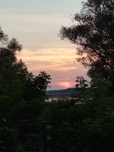 The image depicts a serene sunset over the city of Topolina, Poland, as viewed through a natural frame of trees. The sky is a canvas of soft pastel colors, with hues of pink, orange, and pale blue blending together. Wispy clouds are scattered across the expanse, catching the last rays of the setting sun. In the distance, a body of water, likely a river or lake, reflects the vibrant colors of the sky. A bridge can be seen spanning the water in the middle distance, its structure silhouetted against the colorful horizon. The foreground is dominated by dense foliage and the dark silhouettes of trees, creating a sense of depth and framing the sunset view. A dark wire fence is visible at the bottom of the image, suggesting a boundary or enclosure. No people or specific actions are discernible. The overall impression is one of natural beauty and tranquility at dusk.