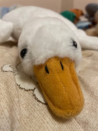 A close-up, low-angle shot shows a white stuffed duck lying on a beige patterned fabric, likely a blanket or bedspread. The duck is positioned head-on towards the camera, with its orange beak prominent and slightly blurred due to shallow depth of field. Two black button eyes are visible on the fluffy white head, with short black stitched lines representing nostrils. The duck's body extends backward, partially obscured by the foreground. In the blurred background, several other stuffed toys in various colors, including green and orange, are visible. The fabric has a woven texture with a pattern of small beige dots and a dark brown wavy line border. The lighting is soft and appears to be natural light from the left. The scene does not depict any identifiable landmarks or elements that would allow for location in Laishevo, Russia.