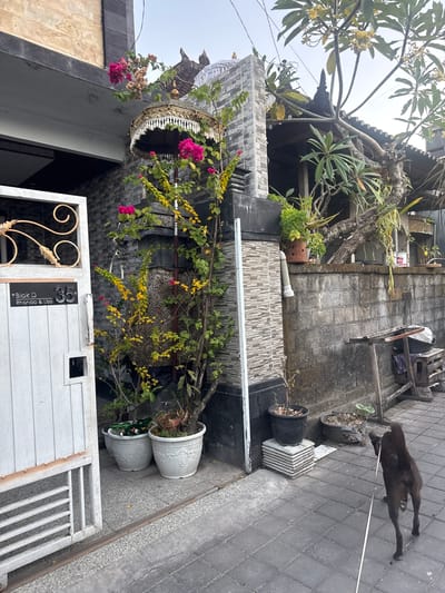 The image captures an exterior view of a property entrance on a paved walkway in Sukawati, Indonesia. A white gate, partially open, stands on the left, revealing a sign with "Blok D Rhonda & Lisa" and the number "35." To the right of the gate, a tall plant with vibrant pink and yellow flowers is potted in a white planter, with more potted plants visible behind it. The building features walls constructed from grey stone and decorative textured tiles. Further back, a mature tree with sprawling branches and some hanging foliage grows against a stone wall. A dark-colored dog, on a leash, walks away from the camera on the tiled path. The scene suggests a residential or commercial entrance in a tropical climate.