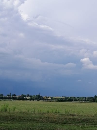 This image depicts a rural landscape in the vicinity of Krasnoluka, Ukraine. The foreground is dominated by a green field, with the lower edge featuring darker, rougher vegetation. Beyond this field, a line of trees and buildings forms a distant horizon. A herd of cows is visible grazing in the field near the trees. The sky above is overcast with dramatic, dark storm clouds, contrasting with lighter clouds higher up. The overall impression is one of impending weather change.