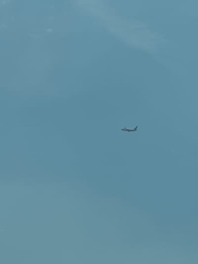 A bird is captured in mid-flight against a pale blue sky. The bird appears to be a cormorant, with its distinctive curved neck and body. It is positioned in the upper center of the frame, tilted slightly as if diving or maneuvering. The sky is mostly clear with a few faint, wispy clouds, suggesting fair weather. The overall lighting indicates it is daytime, likely late morning or afternoon given the bright, even illumination. No specific location cues are visible beyond the general sky and the bird itself. The image is a candid shot, capturing a moment in nature without any discernible human presence or artificial elements. The focus is entirely on the solitary bird against the vast expanse of the sky.