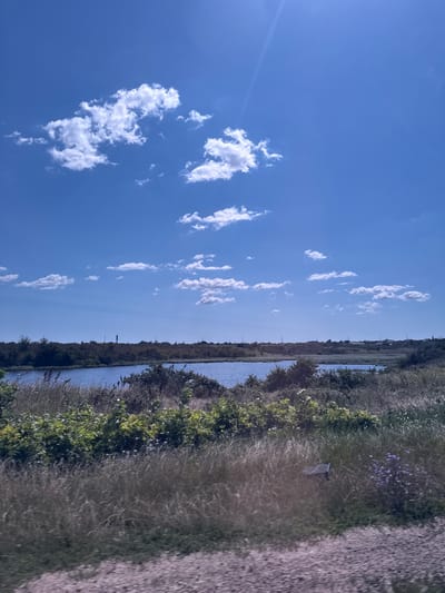 A sunny day in Nova Dolyna, Ukraine, is depicted in this landscape photograph. The sky is a vibrant blue, dotted with fluffy white clouds. In the foreground, tall, dry grasses and low-lying green bushes line a body of water. The water itself appears calm and blue, reflecting the sky. Beyond the water, a dense line of trees and shrubs forms the horizon, with a few scattered buildings visible in the distance. A tall, slender structure, possibly a communication tower, stands out against the skyline. The overall impression is one of a peaceful, natural setting on a clear day.