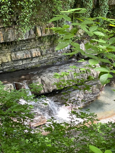 This is a vertical, eye-level shot of a small waterfall cascading over layered rock formations in a natural environment. Lush green foliage frames the scene from the foreground, with some leaves obscuring parts of the waterfall and rocks. The water is clear and appears shallow as it flows into a pool. The rock layers are predominantly gray with some hints of brown and orange. Vines and moss grow on the upper rock ledges, suggesting a damp, shaded environment. The overall impression is one of a serene, natural water feature.