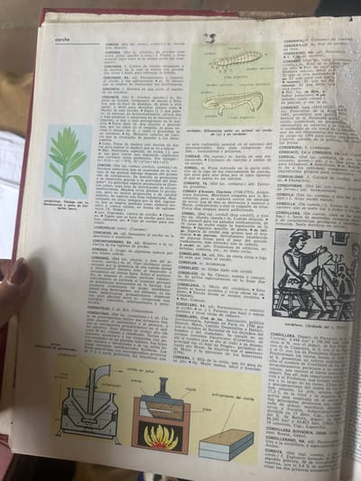 The image is a close-up of an open book, showcasing a dictionary or encyclopedia. The page displays entries for words starting with "Corch-" and "Cord-," with a focus on zoological and botanical terms, as well as biographical entries.
Two illustrations are prominent:
1. **An anatomical diagram of a worm-like creature** (likely an invertebrate, possibly a Cestoda or Annelid, given the labels "cerebro," "corazón," and "tubo digestivo"). This diagram is positioned to the left, illustrating the internal structure of the organism. A caption below it describes differences between a "cordado" and a non-cordado animal.
2. **A diagram of a cork production process.** This illustration shows a machine with parts labeled "pulverizador" (pulverizer), "prensa" (press), and "molde" (mold). A section depicting "enfriamiento del molde" (mold cooling) and a smaller inset showing flames suggest a heating or pressing process involved in creating cork products.
In the upper right quadrant, a detailed black and white woodcut or engraving depicts a figure wearing period clothing, possibly a craftsman or artisan, engaged in work. The style suggests an older publication, likely from the late 19th or early 20th century.
The text is entirely in Spanish. Notable entries include "corchete" (bracket or clasp), "cordados" (chordates), and various terms related to "corcho" (cork) and "cordillera" (mountain range). Biographical entries for figures like Charlotte Corday and Luis Cordero are also visible. The book is bound in a red cover.