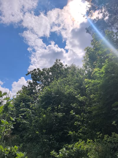 The image shows a view looking upwards at a bright sky with scattered white clouds and a strong sun flare. Lush green trees and foliage fill the lower and right portions of the frame, with branches and leaves obscuring much of the ground. The sun is partially obscured by clouds and tree branches, creating a lens flare effect that streaks across the sky. The foliage appears dense, suggesting a natural environment like a park or forest. No people or specific urban structures are visible, indicating the scene is likely located in a more natural or vegetated area of Парэчча, Belarus, such as a park or forest edge.