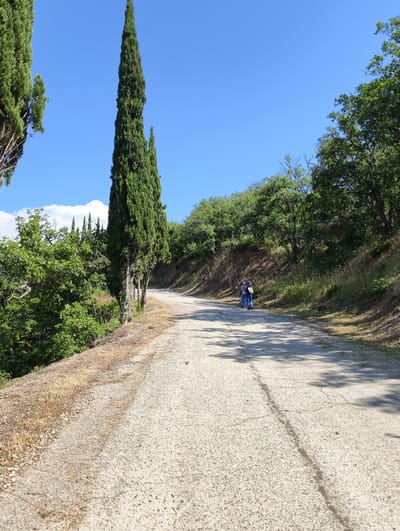 Two individuals are walking away from the camera on a paved road that curves to the right. The person in front is wearing a blue outfit and carrying a backpack. The person behind is wearing a similar blue outfit. The road is bordered by dry grass and vegetation on the left and a sloping, tree-covered hillside on the right. Tall, slender evergreen trees stand to the left of the road. The sky is clear blue with a few scattered white clouds. The scene appears to be a rural or park-like setting.