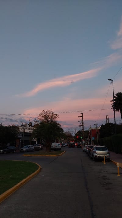 The image shows a street scene at dusk in Tigre, Argentina. The sky is a mix of blue and pink hues with elongated clouds. A row of cars is parked along the right side of the street, and more are visible in the distance, waiting at a traffic light. Palm trees and other trees line the street. Overhead power lines and streetlights are visible. A grassy median with a yellow curb runs along the edge of the street on the right.