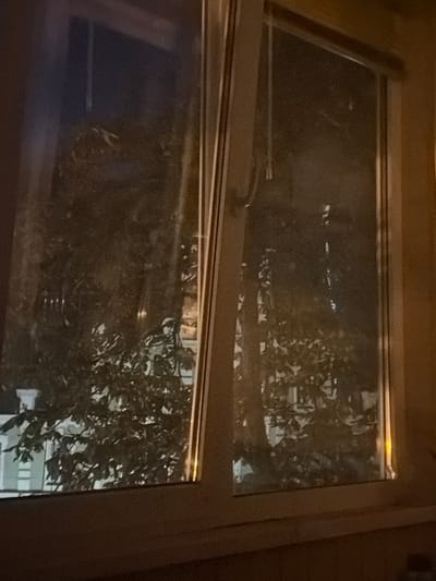 The image shows a view through a window, likely at night, given the darkness and reflections. The window appears to be divided into two panes. The upper pane is partially open, revealing a dark interior space with a faint reflection on the glass. Through both panes, the reflection of trees with dense foliage is prominent, suggesting an outdoor scene. The trees are silhouetted against what appears to be a building in the background, with illuminated windows visible. The overall impression is one of a residential or urban setting at dusk or night. The scene is dark and somewhat grainy, hinting at low light conditions. There is no visible text in the image.