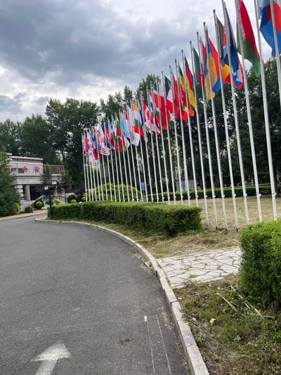 The image depicts an outdoor scene at the International Academic Exchange Center of Jilin University, located in Changchun City, Jilin Province, China, under an overcast sky.
A long, slightly curved row of approximately 30 to 40 national flags from various countries, including China, the United States, Russia, Canada, Japan, South Korea, India, France, Germany, Italy, the United Kingdom, Spain, and Ukraine, are displayed on tall, slender white poles. The flags are gently waving, predominantly towards the right side of the frame.
To the left of the flag display, a large, multi-story building with a light-colored facade is visible. Red Chinese characters, identifying it as the "Jilin University International Academic Exchange Center" (吉林大学国际学术交流中心), are prominently affixed above the main entrance area, which features columns and balconies with railings. Lush green trees are abundant, forming a dense backdrop behind the flags and surrounding the building.
In the foreground, an asphalt road curves from the lower left towards the center-right. A white arrow, painted on the asphalt, points forward, away from the viewer. The road is bordered by a concrete curb. Adjacent to the curb on the right is a stone-paved pedestrian path, followed by a line of well-maintained green hedges. Beyond the hedges and flags, a patch of dry grass with some weeds is visible. A blue and white sign, marked with the Chinese characters "出口" (chūkǒu - exit) and a right-pointing arrow, stands among the flagpoles on the right side of the frame. In the mid-ground, behind the flagpoles, a dark vehicle is parked, and a person is dimly visible in the distance. The sky is entirely covered with thick grey clouds, suggesting an overcast day.