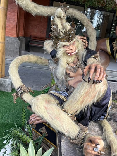 This is a detailed, forensic, matter-of-fact description of the image.
The image depicts a large, elaborately decorated effigy of a monkey-like creature, likely a representation from Balinese mythology, such as Hanuman. The effigy is positioned outdoors, on a surface covered with artificial green turf, with some natural rocks and foliage visible. In the background, there is a building with red brick walls and stone detailing, and a wooden bench. A bamboo pole is visible to the left.
The effigy itself is covered in shaggy, light-colored fur. It has a detailed face with a pronounced snout, sharp teeth, and large, expressive eyes. It is adorned with a golden, ornate headdress and elaborate jewelry around its neck and wrists. The effigy is wearing a dark garment with gold trim and patterned fabric. Its limbs are posed dynamically, with its hands, featuring long, dark claws, held in a claw-like grip. The overall impression is one of a fierce but regal character.
While the specific location in Kuta, Indonesia, is not explicitly identified in the image itself, such effigies are commonly found as decorative elements outside of temples, hotels, or cultural performance venues in tourist areas like Kuta. The presence of the brick building and the outdoor setting are consistent with the architecture and environment found in Kuta. There are no people visible in the image.