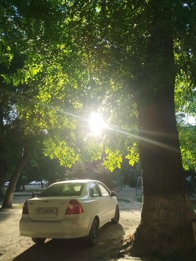 A bright sun shines through the lush green leaves of a large tree, casting dappled light on a white sedan parked on a dirt road. The car is positioned in the foreground, with its rear facing the viewer. The license plate reads "70 T 140 NA". In the background, more trees and a playground structure are visible, suggesting a residential area or park. The sun's rays create a lens flare effect, illuminating the scene with a warm, golden glow. The image appears to have been taken during a sunny day, likely in the late afternoon given the angle of the sun. The overall atmosphere is peaceful and serene, with the natural beauty of the trees and the presence of the car creating a common, everyday scene. The location context is Tashkent, Uzbekistan. There are no visible people in the image.