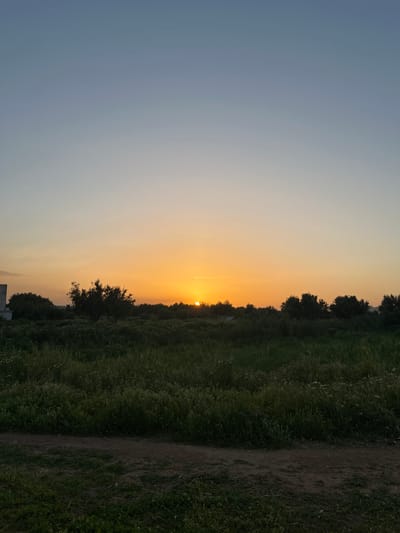 The image shows a sunset over a field. The sky transitions from blue to orange near the horizon. The sun is setting behind trees and vegetation. There is a dirt path to the right of the field. The image appears to be taken at ground level. There are no people visible. The location in Fez, Morocco is not discernible from the image.