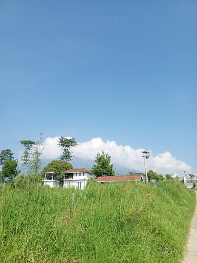 The image depicts a rural scene with a bright blue sky covering most of the frame. A faint crescent moon is visible in the upper center. In the midground, several buildings with red and white roofs are partially obscured by lush green grass. A line of trees and white clouds are visible behind the buildings. A narrow dirt path is visible on the right side of the frame, and tall green grass dominates the foreground. There is no indication of the location being Ban Katan, Laos. There are no people visible in the image.