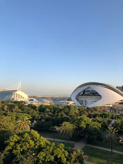 This is a wide-angle, eye-level shot of the City of Arts and Sciences in Valencia, Spain, bathed in the warm glow of late afternoon sun. The clear blue sky occupies the top half of the frame. In the foreground, lush green trees, including palm trees, form a dense canopy, with a pathway and benches visible through them. In the midground, the distinctive architecture of the City of Arts and Sciences is prominent. The Hemisfèric, with its eye-like shape and curved white structure, is on the right. To its left, the Palau de les Arts Reina Sofía is visible, featuring a white, sail-like canopy supported by a central pillar. Further in the background, more structures of the complex, including the Agora and the Palau de les Comunicacions (currently an aquarium), are discernible. The overall scene is serene, showcasing a blend of natural greenery and striking modern architecture under a tranquil sky.