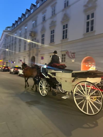The image shows a horse-drawn carriage in Vienna, Austria, at dusk. The carriage is white with a dark interior and has large, spoked wheels. A person wearing a hat and a vest is seated in the driver's position, and a horse is pulling the carriage. The carriage is on a cobblestone street, and several cars are visible in the background. The buildings lining the street are typical of Viennese architecture, with ornate facades and windows. The sky is a deep blue, indicating the early evening. The overall scene evokes a sense of old-world charm mixed with modern city life.