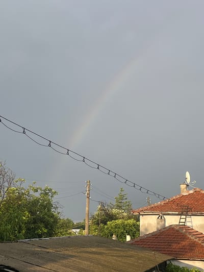 An outdoor, low-angle, medium shot captures a subdued, overcast sky with a faint rainbow arcing across the upper portion of the frame. In the foreground, a textured, grey, corrugated roof occupies the bottom third of the image. Above the roof, a line of black electrical wires with numerous loops is strung horizontally across the middle ground, silhouetted against the pale sky. To the left, lush green trees with some bare branches rise, and to the right, a light-colored building with a red tile roof is visible, featuring a chimney and a ladder leaning against the side. A satellite dish is mounted on the roof of this building. In the background, more trees and a utility pole with wires can be seen. The scene suggests a residential area in Cheshnegirovo, Bulgaria, after a rain shower. There are no people or animals present.