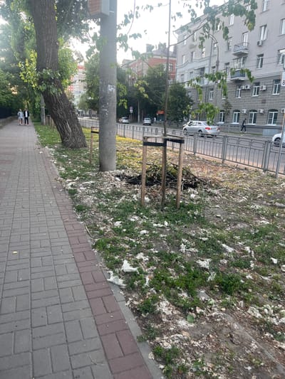 The image depicts a street scene in Voronezh, Russia. In the foreground, a paved sidewalk runs along a grassy area littered with white debris, possibly from trees. A large, old tree with a thick trunk is leaning precariously over the sidewalk, its branches extending upwards. A tall, grey pole stands next to the tree.

Further down the sidewalk, two people, likely women, are walking. One is wearing dark leggings and a light-colored top, while the other has on a light-colored outfit. Beyond them, a road is visible with a few parked cars, including a silver sedan. Across the road, a modern apartment building with multiple windows and air conditioning units stands tall.

The scene appears to be set during the daytime, with natural light illuminating the area. The weather seems pleasant, as people are out walking. The overall impression is of an urban environment with signs of nature encroaching, such as the debris and the leaning tree. The image is oriented vertically, suggesting it was taken with a phone camera. There is no visible text in the image.