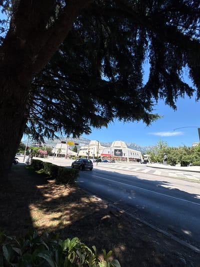 This image captures a street scene in Bar, Montenegro, on a sunny day. In the foreground, a large tree with dark foliage partially obscures the view. The road in front of the tree is a multi-lane asphalt surface, with a white line marking the lanes. To the left of the road, there is a strip of grass and bushes, with dappled sunlight casting shadows. A dark-colored car is driving on the road.
Across the road, a modern building with a distinctive angular roofline dominates the middle ground. The building appears to be a commercial establishment, with large windows and signage that includes the name "Tornado." Several other cars are parked or driving in front of this building. In the background, mountains rise under a clear blue sky with a few wispy clouds. Traffic lights and street signs are visible on the side of the road. The overall impression is of a contemporary urban environment with a backdrop of natural scenery.