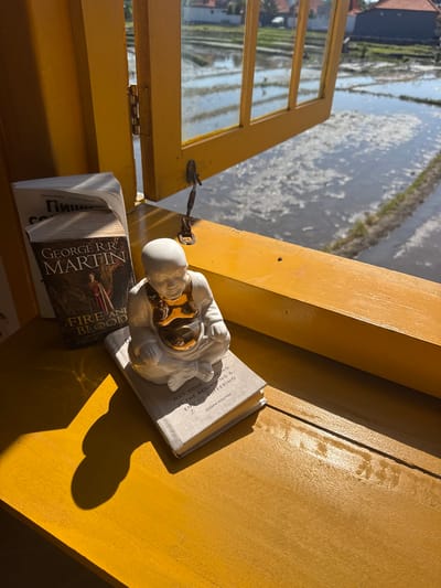 This image captures a close-up view of a yellow wooden surface, likely a windowsill, with an open window revealing a flooded rice paddy field outside under bright sunlight. The water in the paddy is disturbed, creating a dappled, reflective surface, suggesting it's either windy or has recently rained. The sunlight casts strong shadows across the wooden surface, indicating it's a sunny day, possibly mid-morning or afternoon.

On the windowsill, two books are placed side-by-side. The book on the right has a cover with the title "FIRE AND BLOOD" by GEORGE R.R. MARTIN, featuring an illustration of a person in historical attire. The spine of this book is largely obscured. The book on the left has some Cyrillic text visible on its spine, with the name "Максим Ильяков" and "Людмила Сарычева" printed above it.

Resting on top of the "FIRE AND BLOOD" book is a small, white ceramic figurine of a person in a seated meditation pose. The figurine has a glossy, golden interior visible in its chest area, reflecting the sunlight.

The overall scene evokes a sense of quiet contemplation and intellectual pursuit, juxtaposed with the natural beauty of the surrounding landscape. The vibrant yellow of the windowsill and the bright sunlight create a warm and inviting atmosphere. The detail of a small metal latch and hinge on the window frame suggests an older, perhaps rustic, structure. The presence of the rice paddy hints at a rural or semi-rural setting, consistent with the provided location context of Mengwi, Indonesia.