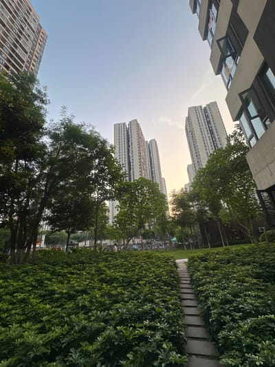 The image displays an urban landscape featuring tall buildings, lush greenery, and a pathway, likely within a residential complex or public park. The scene appears to be set during either sunrise or sunset, indicated by the clear sky transitioning from light blue overhead to a bright, soft yellowish glow near the horizon.

On the left side, a modern building with a distinctive stepped, concrete facade and numerous dark-framed windows rises towards the sky. Within one of its upper windows, a white banner with red, unreadable Chinese text is visible. Another window nearby shows a red object. In the background, several towering, rectangular apartment buildings, characterized by a uniform grid of windows across their light-colored facades, stand against the bright sky.

In the foreground and mid-ground, vibrant green vegetation dominates the right side of the frame. A paved pathway, constructed from rectangular stone slabs, meanders into the distance. This path is neatly bordered on both sides by dense, manicured green hedges. Scattered between the buildings and the pathway are several leafy green trees, their foliage appearing thick and healthy, contributing to the tranquil atmosphere. Faint, indistinct outlines of what might be people are barely discernible in the distant background, beyond the hedges. The overall impression is one of a well-maintained urban environment in the Chongqing High-tech Zone, China, balancing modern architecture with natural elements.