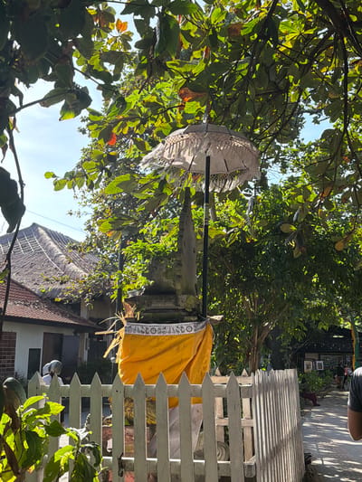 The media file shows an outdoor scene, possibly a garden or courtyard, in Denpasar, Indonesia. The image is dominated by lush green foliage from trees, with sunlight filtering through the leaves, suggesting it is daytime with clear weather.

In the foreground, a white, ornate umbrella with a decorative border is partially visible, suspended from a dark pole. To the right of the umbrella, a bright yellow cloth with a similar decorative border is draped, possibly part of a ceremonial or decorative display. This suggests a cultural or religious context, perhaps a festival or an offering.

A white picket fence runs along the right side of the frame, with horizontal slats casting shadows. Beyond the fence and foliage, there are glimpses of structures with tiled roofs, and what appears to be a stone statue or carving. In the background, a person's legs and torso are visible from the waist up, wearing a gray t-shirt and dark pants, walking away from the camera on a paved path. The overall impression is one of a serene, sunny day in a culturally rich environment. There is no visible text in the media file.