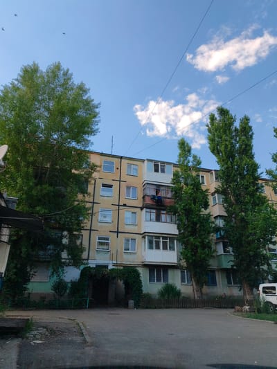 This is a daytime, eye-level exterior shot of a multi-story apartment building in Kryvyi Rih, Ukraine. The building is constructed of concrete with yellow and grey painted facade sections, featuring numerous windows and balconies. The building appears to be aged, with visible wear and tear on the exterior.
In the foreground, there is a paved area that transitions into a dirt and gravel surface on the left, suggesting a courtyard or walkway. A low, green metal fence runs along a portion of the building's base. Dense green foliage, including trees and climbing plants, surrounds the lower levels of the building, with one large tree on the left partially obscuring the facade. Two tall, slender trees stand in front of the building.
On one of the balconies, a person is visible leaning over the railing, appearing to be interacting with something outside the building. A blue laundry bag is also visible on the balcony. A white utility van is parked on the right side of the frame.
The sky above is blue with scattered white clouds. Several birds are flying in the upper left portion of the image. Power lines are visible stretched across the sky. The overall impression is of a residential urban environment, likely a post-Soviet era housing block.