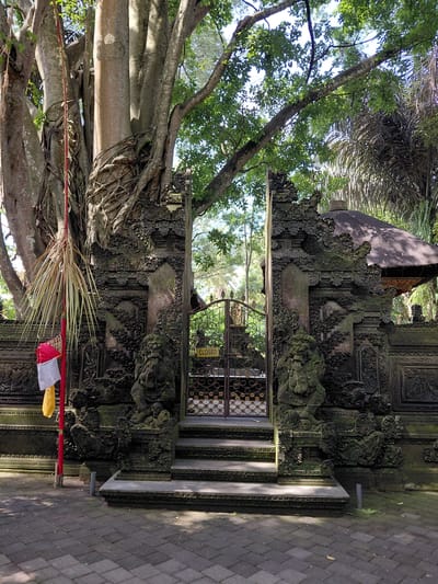 This is a full-shot, eye-level, outdoor, vertical photograph of the main entrance to the Sacred Monkey Forest Sanctuary in Ubud, Bali, Indonesia. The entrance is a stone temple-like structure with intricate carvings. A large, mature banyan tree with exposed roots grows on the left side of the entrance, entwined with a red pole adorned with a red, white, and yellow flag. A metal gate with ornamental details, displaying a yellow "CLOSED" sign, stands in the center of the entrance. Two stone guardian statues flank the gate. Steps lead up to the gate, and the ground in front is paved with dark grey cobblestones. Lush green trees and foliage fill the background, with a thatched-roof pavilion visible to the right. The lighting suggests it is daytime with dappled sunlight. There are no people visible in the image.