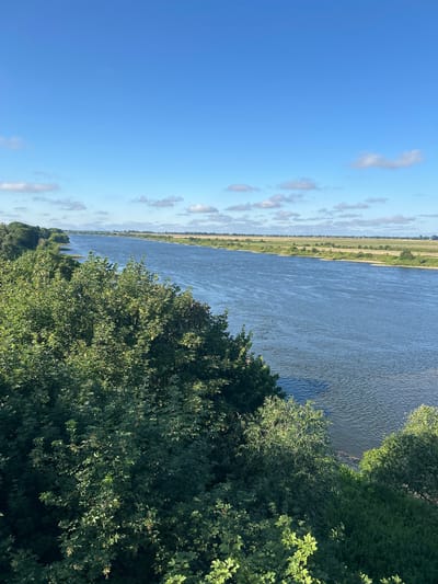 A wide, deep river flows through a rural landscape under a bright blue sky dotted with white clouds. Lush green trees and foliage line the foreground on the left bank of the river, with a gently sloping embankment visible. The opposite bank features cultivated fields stretching towards the horizon, with a thin line of trees marking the distant boundary. The water's surface is rippled, reflecting the sunlight. In the far distance, faint outlines of structures or wind turbines are visible against the horizon. The scene captures a serene and natural setting in Bałdowo, Poland, likely during daylight hours in the summer or late spring.