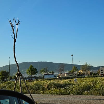 The image depicts a daytime scene in Fez, Morocco, featuring a clear blue sky that occupies a significant portion of the frame. A tree branch with bare twigs extends into the sky from the lower left corner. In the background, a hillside is visible, dotted with residential buildings and interspersed with green vegetation. A road runs along the side of the hill, with a grassy shoulder filled with wildflowers. Streetlights line the road. A partially obscured car window appears in the lower right corner.
