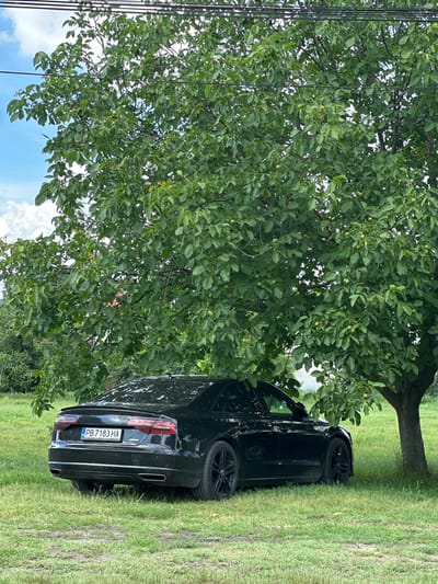 A black Audi sedan is parked on a grassy area beneath a large tree. The car's license plate reads "PB 7183 HA". The tree has abundant green leaves and some small green fruits. In the background, there is more greenery, suggesting a rural or park-like setting. The sky is partly cloudy. The scene is located in Marten, Bulgaria.