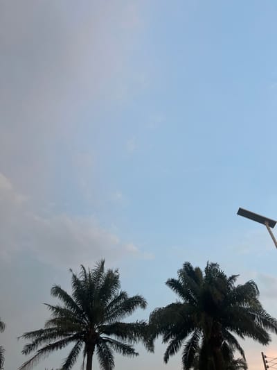 The image depicts a view upwards towards the sky. In the upper right portion of the image are two palm trees. There is also a light pole with a rectangular light fixture positioned at the top-center area of the image. The sky is light blue with some cloud cover near the bottom right. The photograph may have been taken in Ikot Ekpene, Nigeria, based on the prompt.