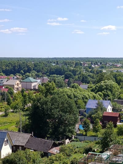 An aerial view captures a residential area in Alexandrov, Russia, on a clear day. The scene is dominated by lush green trees, forming a dense canopy over a scattering of houses. The houses are of various sizes and styles, with some featuring pitched roofs in red, green, and blue. A few buildings are partially visible at the edges of the frame, suggesting a larger community beyond the immediate view. The environment appears to be rural or semi-rural, with evidence of gardens and open spaces interspersed with the buildings. The sky is a bright blue with a few scattered white clouds. The overall impression is of a peaceful, sun-drenched day in a suburban or village setting.