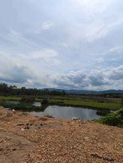 This is a full-frame, eye-level, vertical outdoor photograph of a rural landscape under a partly cloudy sky. The foreground is dominated by a mound of dry, brown, straw-like vegetation scattered with debris including plastic bottles and other trash. A small body of dark water, possibly a pond or canal, occupies the middle ground, reflecting the sky and surrounding vegetation. Lush green fields and trees stretch across the middle distance, with a line of dark green trees forming a backdrop. In the far distance, a range of hazy, blue mountains is visible. The overall scene suggests a somewhat unkempt or natural environment with evidence of human activity in the form of litter.