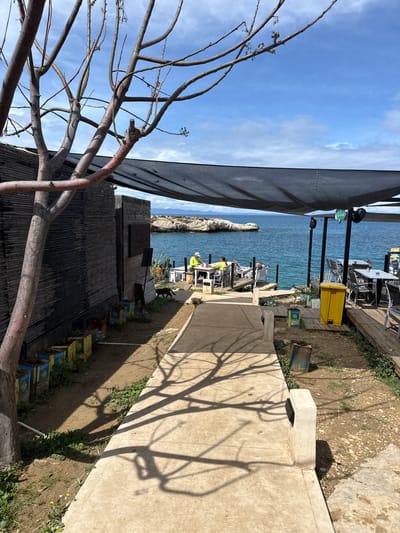 This image depicts a coastal outdoor dining area in Paralimni, Cyprus, under a partly cloudy blue sky. The scene is illuminated by direct sunlight, casting distinct shadows. In the left foreground, a bare, multi-branched tree stands, its trunk and branches appearing grey-brown, with some reddish undertones on the lower branches. Its shadows extend across a light-colored concrete pathway that leads into the scene.
To the left of the pathway, a building with a dark, horizontal slatted facade is visible. Along its base, several repurposed, rectangular metal containers, painted yellow and blue, serve as planters for sparse vegetation. A black cat walks on the dirt ground between the planters and the pathway, moving towards the seating area.
The concrete pathway transitions to a wooden deck area where a large, dark grey fabric canopy provides shade. Numerous square and rectangular tables with grey chairs are arranged on this decking, extending towards the sea. On the leftmost section of the deck, two individuals are seated at a table. One wears a white baseball cap and a bright yellow long-sleeved top; the other wears a light green top. At least two additional figures are partially visible at other tables further back. A prominent yellow industrial-style waste bin is positioned on the right side of the wooden deck. A smaller, integrated concrete waste receptacle is part of the concrete pathway on the far right.
The background features the calm, turquoise-blue Mediterranean Sea. A rocky island or outcrop is visible in the mid-distance within the sea, and a faint silhouette of distant land or mountains lies on the horizon under the cloudy sky. Dark metal railings delineate the edge of the wooden deck overlooking the water. Another small animal, possibly a cat, is visible near the yellow bin on the wooden deck.