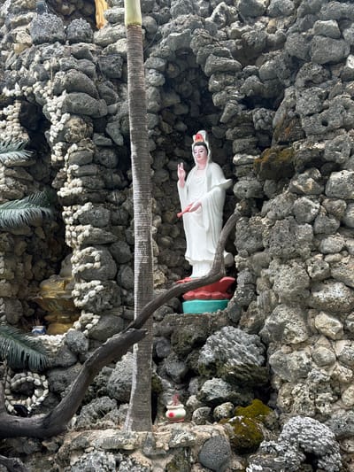 The image displays a white statue of a deity, likely Guanyin or Quan Am, enshrined within an intricately constructed grotto. The statue, serene and gracefully robed, stands vertically in a recessed alcove. She wears a white robe and a gold-colored headdress adorned with a small red detail, and her right hand is raised. She rests on a colorful base with red and teal sections.
The surrounding grotto walls are the most striking feature, meticulously adorned with various types of grey and white coral and shells. These include textured brain coral, branching coral forms, and numerous small, white, bivalve-like shells arranged in decorative patterns. Patches of green moss cling to some of the coral formations, adding natural color.
A prominent dark, gnarled wooden branch extends diagonally across the mid-right side of the image, appearing almost tree-like. Another thick, cylindrical, striped pole, resembling a palm trunk, is visible horizontally on the left side, adding to the organic feel. Other subtle elements include hints of artificial foliage, possibly palm fronds, at the bottom.
The scene depicts a static, revered religious display within what appears to be a man-made cave or shrine crafted from natural marine elements. The lighting suggests daytime. There is no visible text or active event taking place, only the tranquil presence of the statue amidst its unique setting. The extensive use of coral and tropical plant elements is consistent with its location context in Cam Ranh, Vietnam.