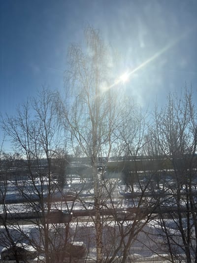 The image displays an outdoor urban or suburban landscape viewed from an elevated position, likely a window, under bright sunlight during winter or early spring in Nizhnekamsk, Russia.
The upper portion of the frame features a clear, light blue sky with a prominent, intense sunburst and associated lens flare situated in the upper-right quadrant. The sun's rays emanate diagonally across the frame. A faint, linear contrail or wispy cloud is observable in the upper-left sky.
The midground and foreground are dominated by numerous bare deciduous trees, primarily identifiable as birches by their distinctive white and dark mottled bark patterns. The trees are leafless, indicative of a dormant season. A tall birch tree stands centrally, its upper canopy extending into the sunburst. Other bare trees with dark, intricate branch networks are densely distributed across the frame, partially obscuring the background. Some branches exhibit a subtle glitter, possibly from frost or melting ice illuminated by the sun.
Beneath the trees, the ground is covered with a patchy layer of white snow, interspersed with areas of darker, exposed earth. A multi-lane asphalt road or highway traverses horizontally across the mid-lower section of the image. The road surface appears dark and reflects sunlight in several areas. At least two dark-colored passenger vehicles are visible on the road; one is partially obscured by tree branches in the lower-middle section, and another is further to the right, also partially obscured.
The distant background, beyond the road and tree line, is a blurred band of darker tones, consistent with distant urban structures or industrial development. No individuals are discernible within the frame. The presence of bare deciduous trees, snow cover, and urban infrastructure aligns with the specified location of Nizhnekamsk, Russia, during winter or early spring.