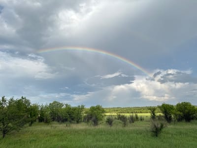 The image shows a landscape with a rainbow in the sky. The foreground is a field of green grass with scattered trees and shrubs. In the background, there is a line of trees and then a distant horizon. The sky is filled with clouds, with a bright rainbow arching across it. The scene appears to be a rural or natural setting.