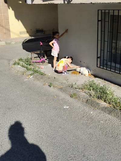 The image depicts an outdoor scene in Sarıyer, Turkey, under bright daylight. Two young girls are present on an asphalt surface adjacent to a building wall.
A girl with light brown hair, wearing a pink patterned t-shirt and light shorts, stands on the left. Her left hand rests on a yellowish-beige section of the building wall, while her right hand is placed on her hip. A pink kick scooter leans against a metal framework behind her, near a discarded clear plastic bottle.
To her right, a second girl with dark hair, wearing a yellow graphic t-shirt and patterned leggings, is crouched on the ground. She extends her left hand to gently touch the back of a white cat with reddish-brown markings on its tail and back. The cat is eating a small pile of dry kibble placed on the ground in front of it.
The building wall behind the girls is light-colored, transitioning from yellowish-beige with ventilation grates on the left to a plain white section on the right, which features a window secured by a black metal grate. A concrete curb separates the asphalt ground from a narrow strip of soil and weeds running along the building's base. The asphalt surface exhibits scattered small debris, including cigarette butts. A prominent, dark human shadow, likely belonging to the photographer, is visible in the lower-left foreground, indicating strong overhead sunlight.